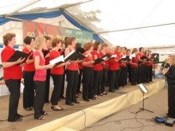 Vereinsleben &raquo; Bürgerfest 2009