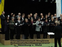 herbstkonzert_20101027_1296491758
