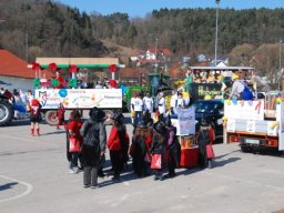 faschingszug_wenzenbach_20110331_1116179632