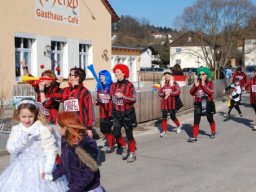 faschingszug_wenzenbach_20110331_1360109814
