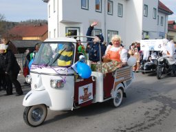 faschingszug_2_20120718_2041755845