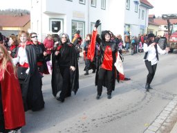 faschingszug_8_20120718_1022523179